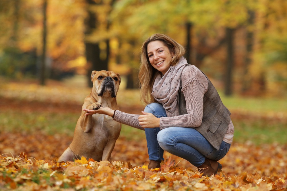 Femme accroupie dans les feuilles mortes tenant la patte d'un bulldog continental fauve assis